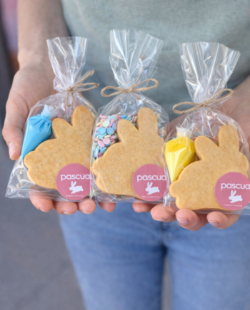 Mini kit para decorar 2 galletas