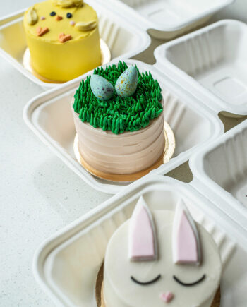 Mini Mini cake de Pascua