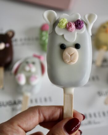 Cake paleta personalizada