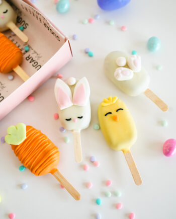 Cake paleta individual