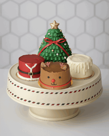 Petit Cakes - 4 mini mini cakes