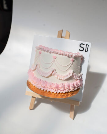 CANVAS MINI CAKE