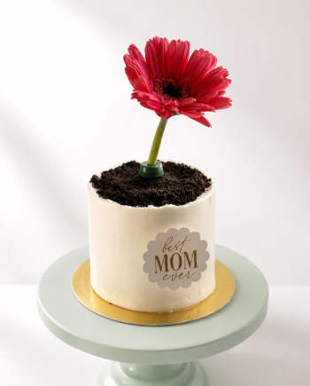 Mini cake en maceta con flor natural